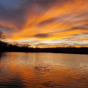 I'm Selling Advice to All Future Buyers